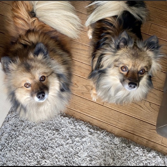 Meet your Posher, Hayley - Picture 8 of 8